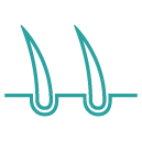 ic-hairtrans